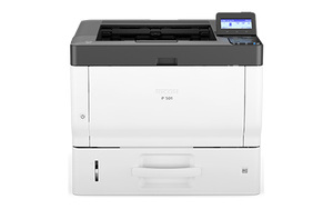 P501