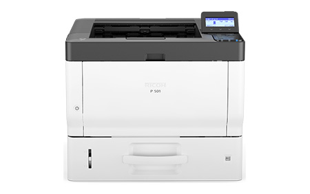 P501